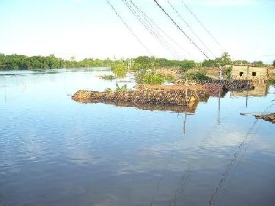 Flut