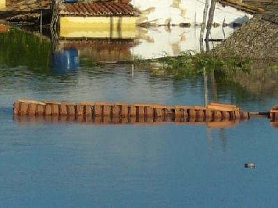 Flut