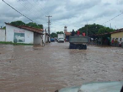 Flut
