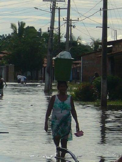 Flut