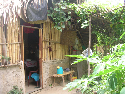 Haus