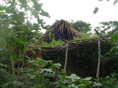 Martins Haus